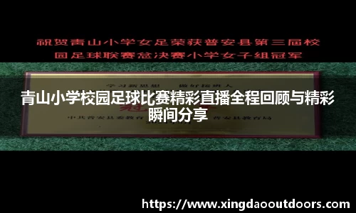 星空体育app