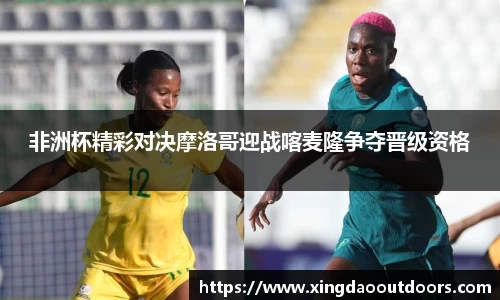 非洲杯精彩对决摩洛哥迎战喀麦隆争夺晋级资格